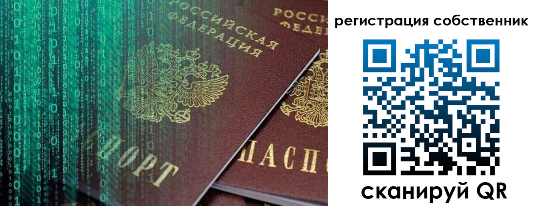 прописка поиск в Королёве